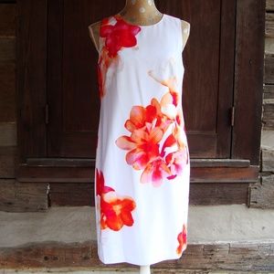 NEW Calvin Klein Floral Print Shift Dress Size 6